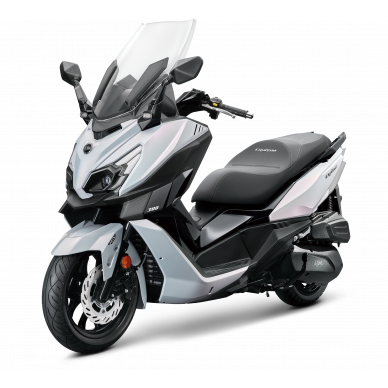 CRUiSYM 300