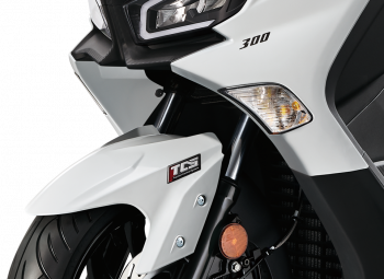 JOYSYM 300